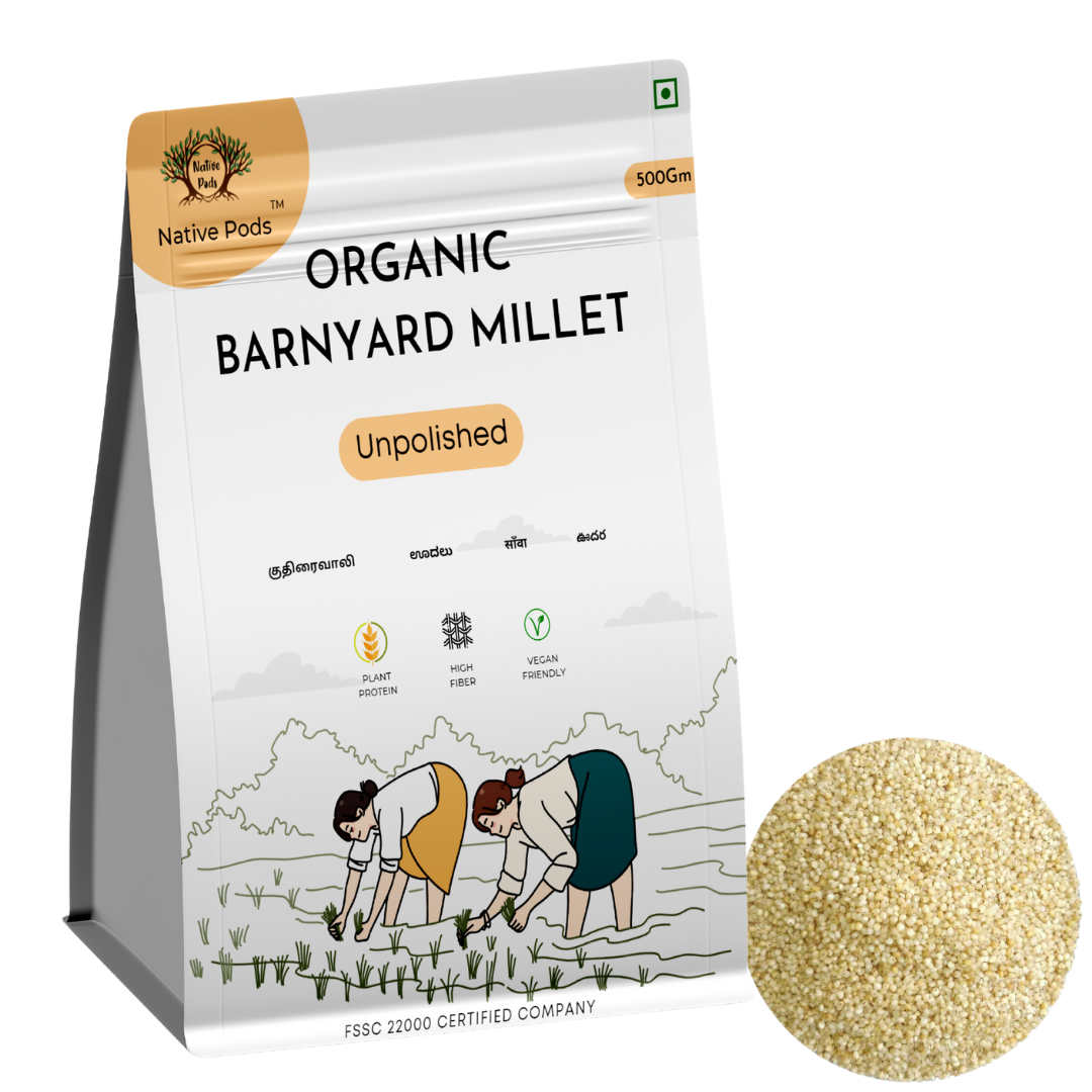 Native Pods Barnyard Millet Unpolished 500gm- Sanwa,Kuthiravali,Oodalu - Natural & Organic - Gluten free and Wholesome Grain without Additives