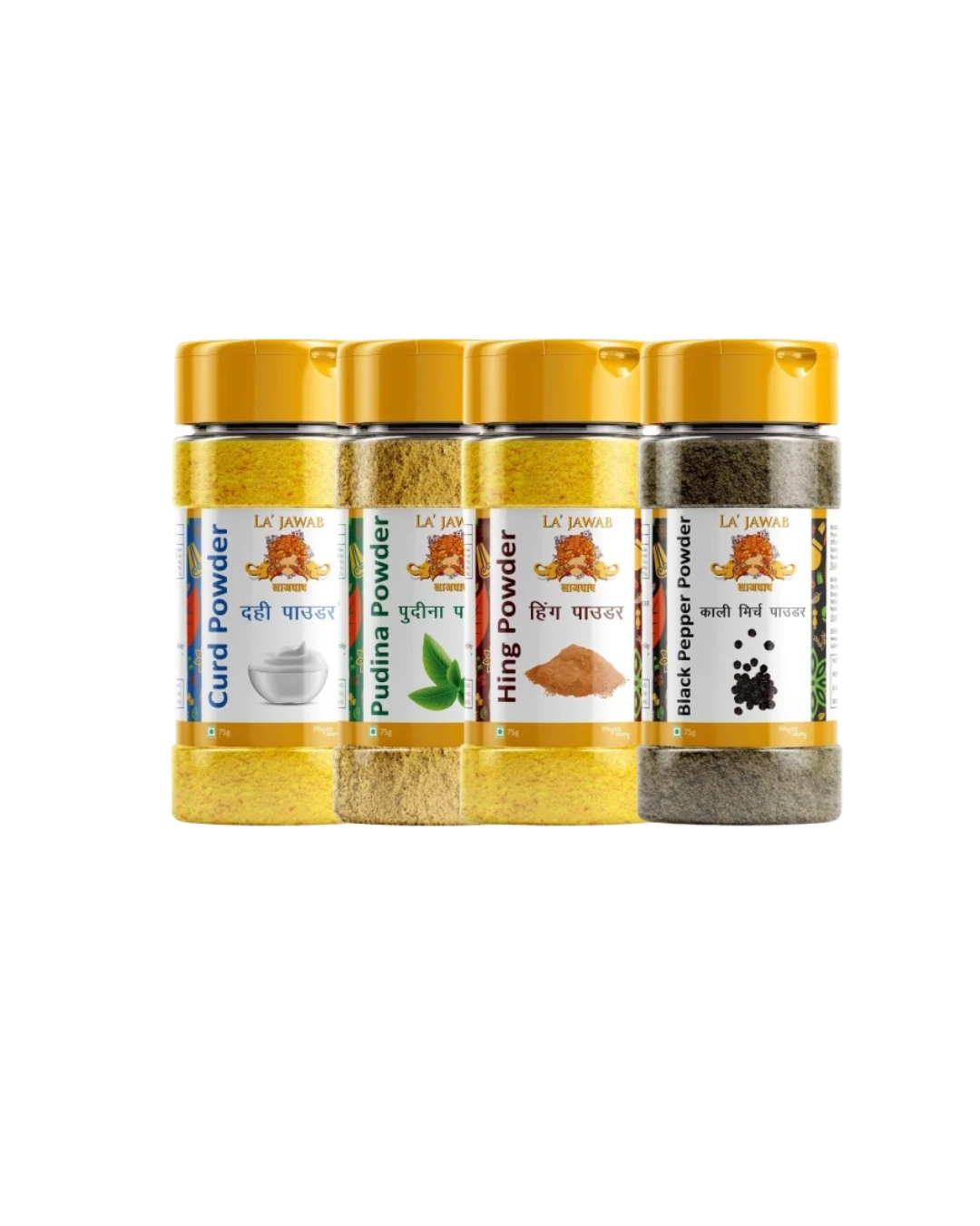 Seasoning Combo (4 Flavors) | Pudina, Hing, Black Pepper & Curd Powder Spice Blend