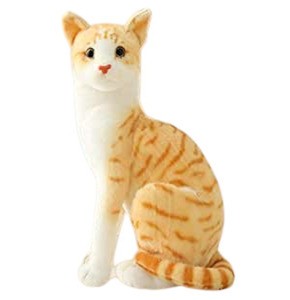 Real life Standing Cat Soft Toy for All Kids - 40 cm  (Orange)