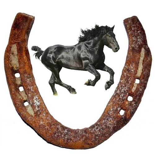 DOOR HANGING BLACK HORSE SHOE - 1 Piece (Natural Iron) Home Decor