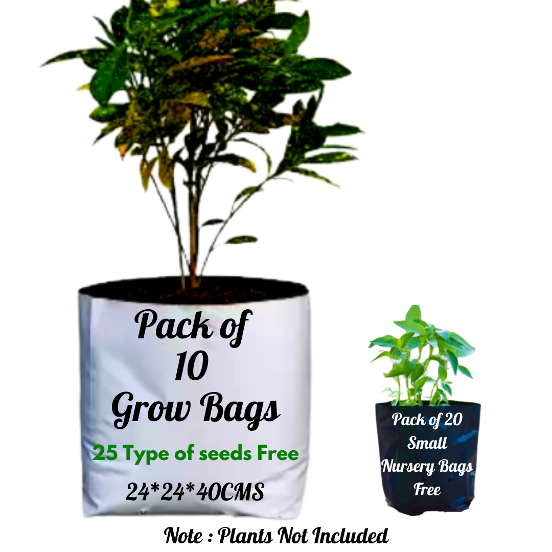 UV Treated Poly Grow Bags Perfect for Home Gardening Vegetable and Flowering Plants, White Outside, Black Inside Grow Bags, Size - 10 x 16 inch, 10 Pieces/ 25 Variety of Seeds Combo/ 20 Small Nursery