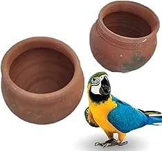Natural & Eco-Friendly Clay House Pot for Small Birds, Finches & Parrots | Pack of 2 | 15 cm