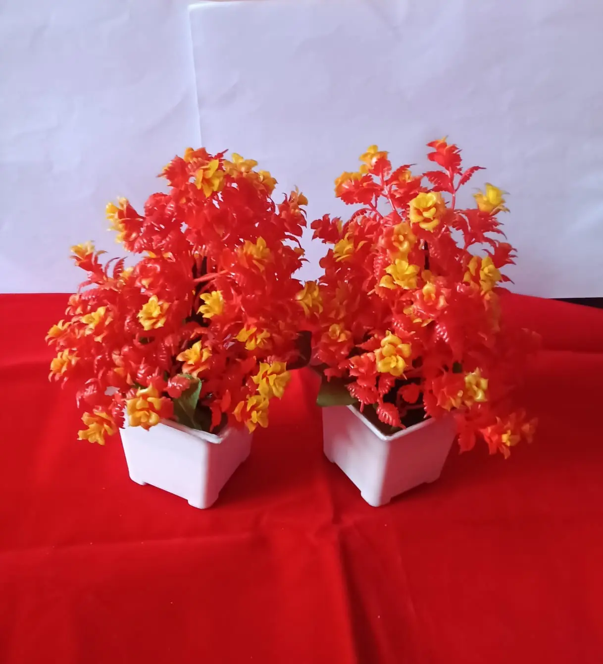 Plastic Flower Pot pack of 2