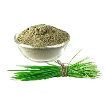 Arugampul Powder 100g | Bermuda Grass Powder | Doob Grass | Cynodon Dactylon