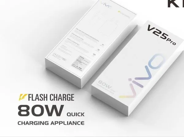 Vivo 80W Original Flash Charger | Ultra-Fast Charging Adapter for Smartphones & More