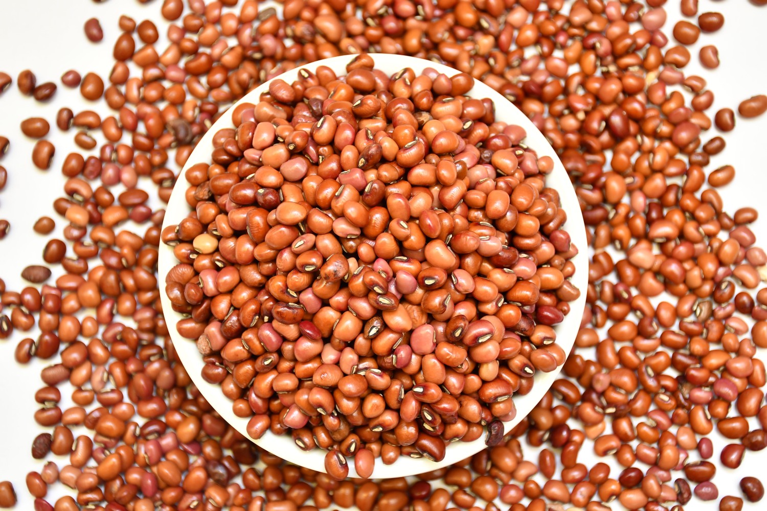 Kushi Traders - Brown Cowpeas/Lobia/Loba/Black Eyed Beans/Chawli  - 1/2 KG