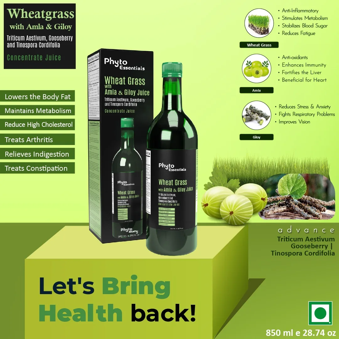 Wheatgrass Juice with Amla & Giloy - Natural Detoxifier, Immunity Booster, Energy & Metabolism Support