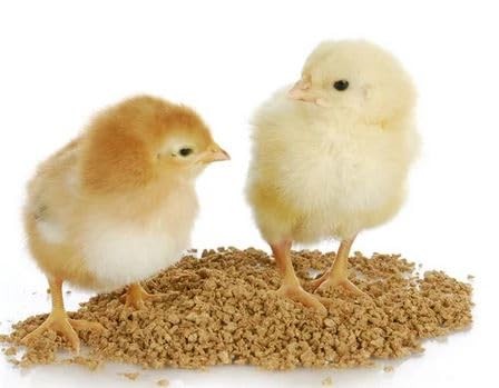 Asha Groups Grower Chicken Pellet Feed for Small Chicks of Chicken,Turkey, Duck, Guineafowl,Silkie, Bantam 1 kg Starter Packet