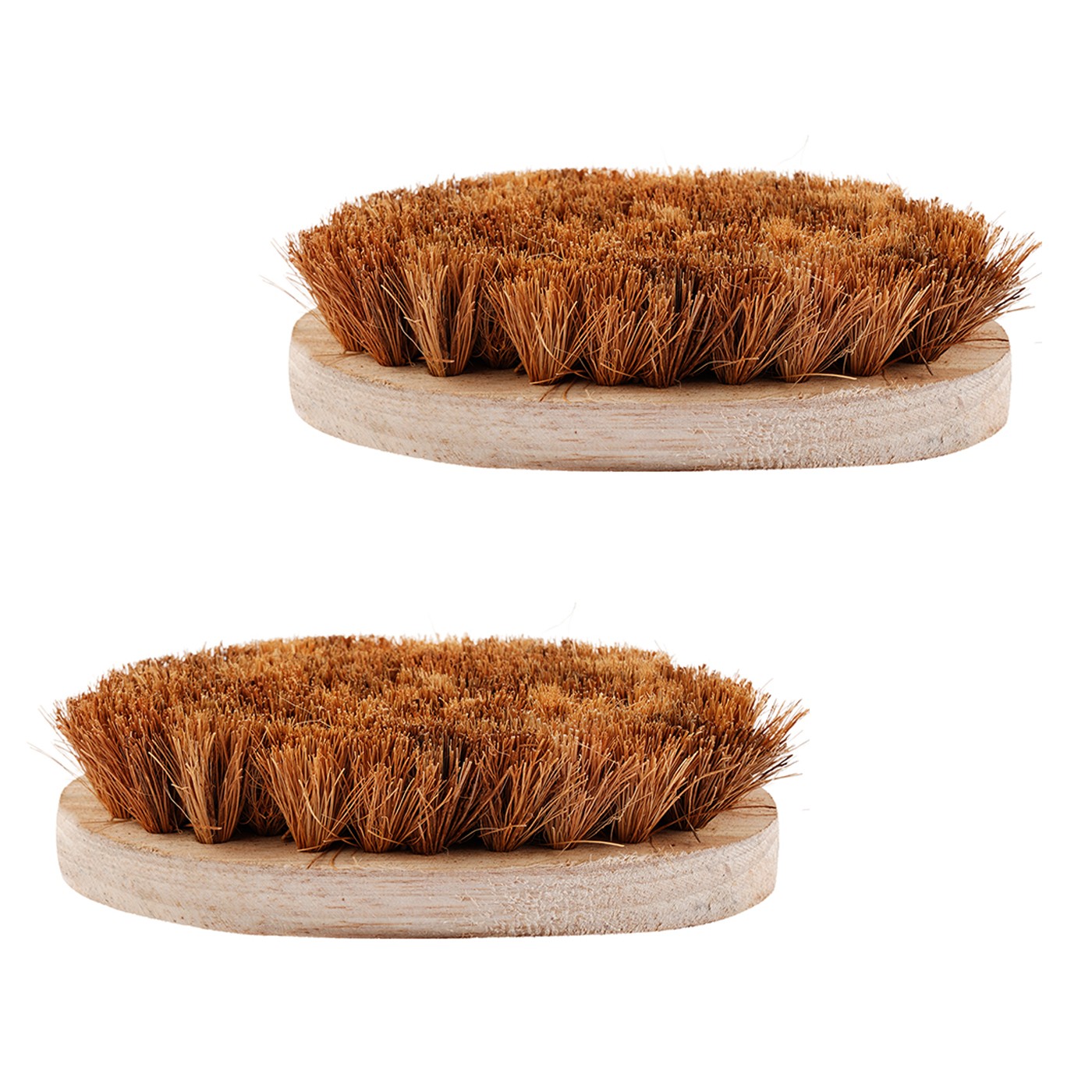 Multipurpose Coir Washing Brush - Eco-Friendly Cleaning for Various Surfaces"- 6 inch Oval Shape-(Pack of 2)