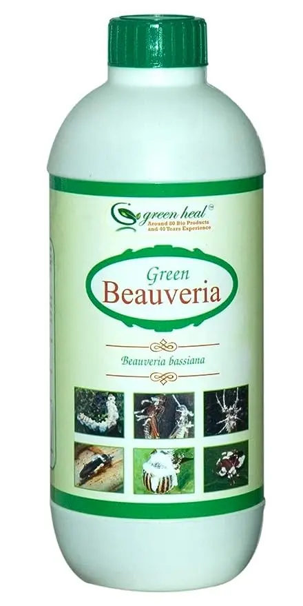 Green Beauveria Bassiana (2 x 10^8 spores/ml) Liquid 1 litre | BioPesticide | Insecticide for Plants