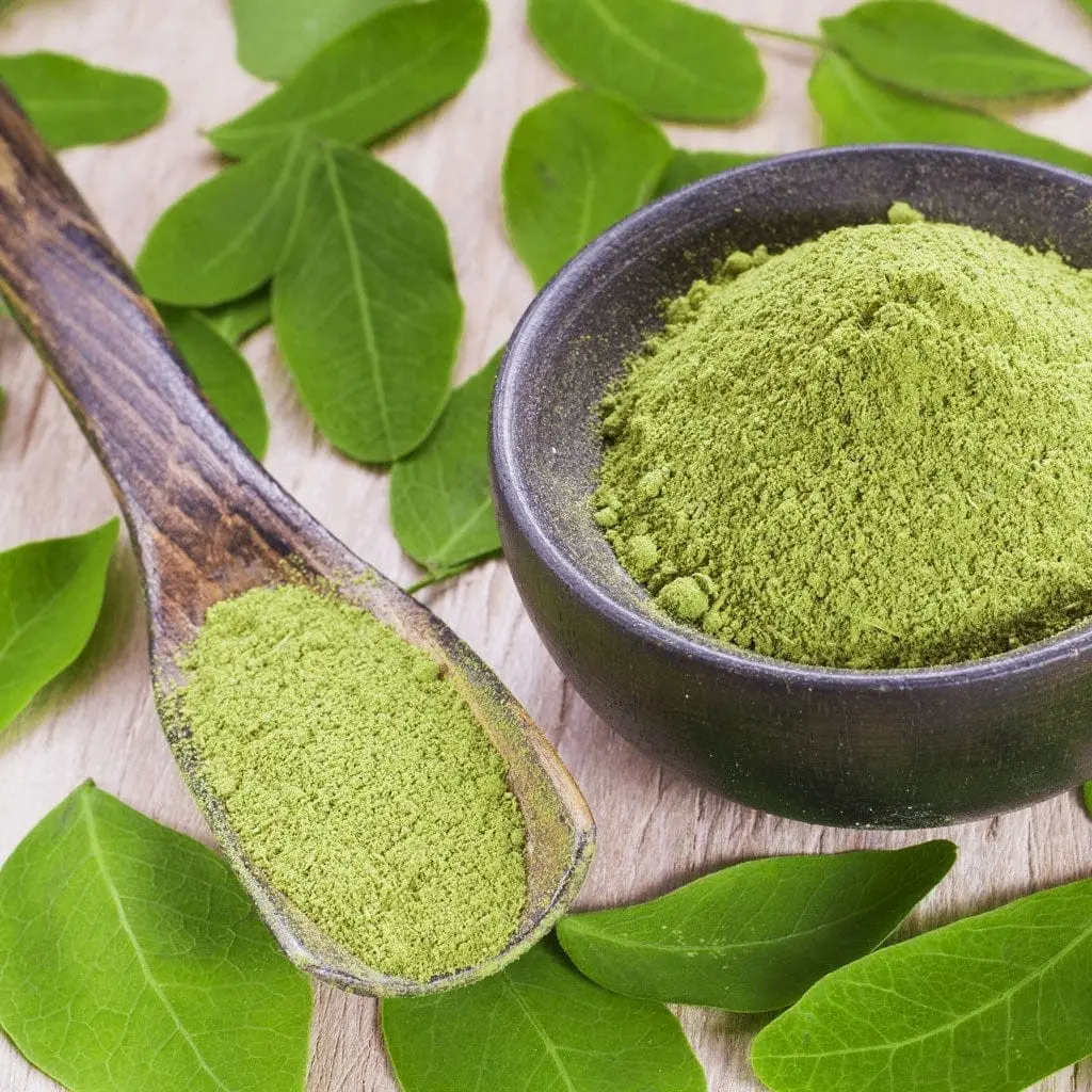 NATURAL ORGANIC MORINGA POWDER/ MURUNGAI ILAI PODI/ NO ADDED CHEMICALS/NO ADDED COLOUR/ 100GM OF PACK