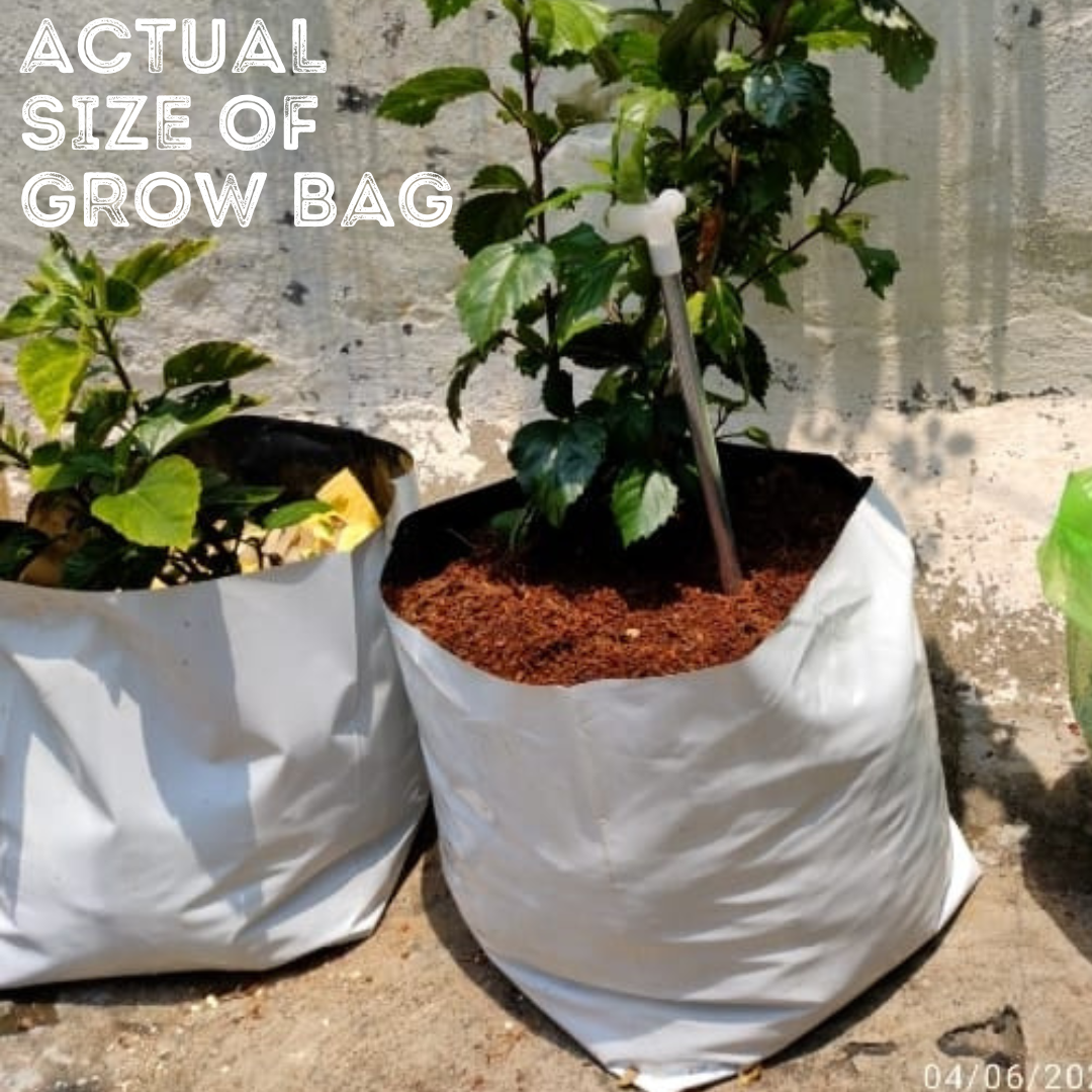 UV Grow Bags for planting