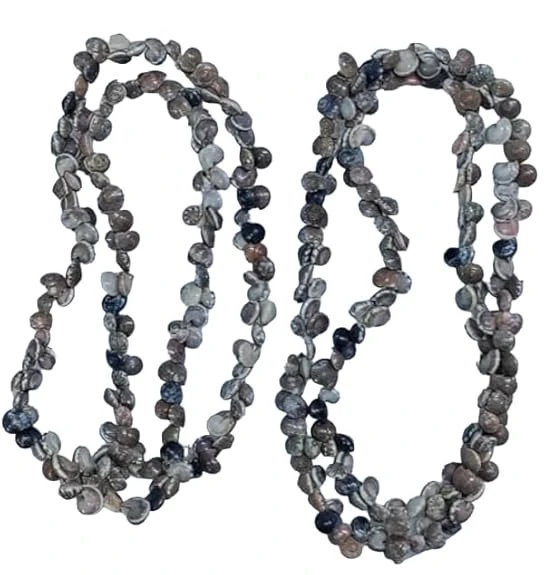 sea shell chain