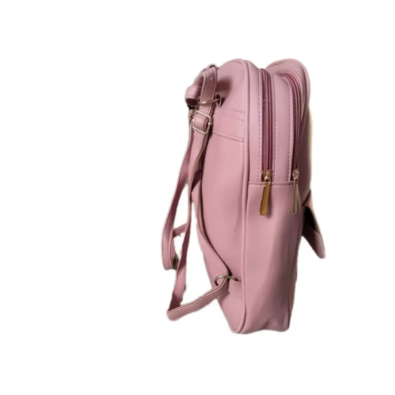 Stylish women's back Bag