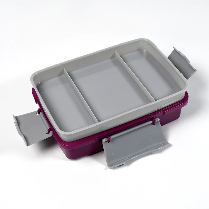 Lunch Box - 2 Compartment Plastic Tiffin Box for Kids & Adults