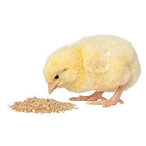 Asha Groups Premium Grower Baby Chicken/CHICK'S Pellet Feed (Hen,Duck, BATER, EMU & Other) (2Kg Pack of 1)