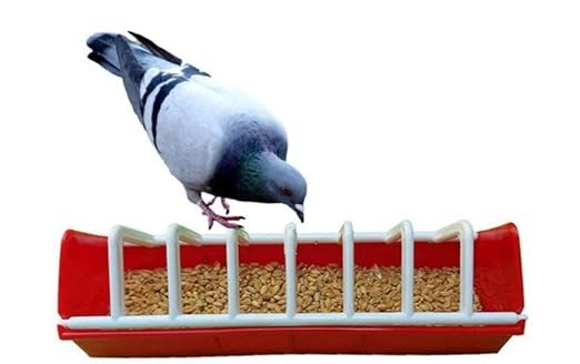 Plastic Bird Food Feeder Tray for Pet Animals 9'inch Tray(Pack of 1, RED)